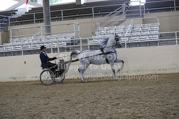 RCAHA19_FriPM_1229