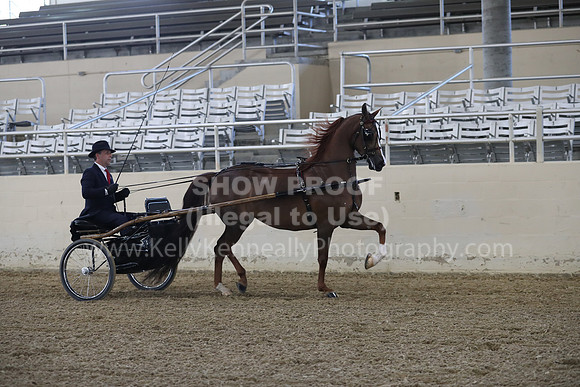 RCAHA19_FriPM_1233