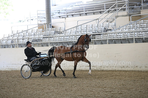 RCAHA19_FriPM_1234