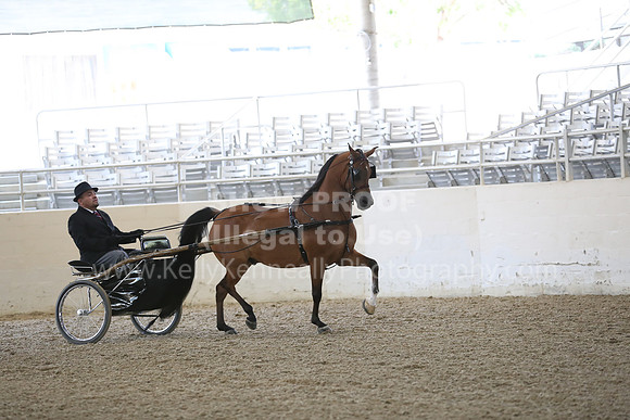 RCAHA19_FriPM_1245