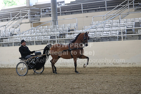 RCAHA19_FriPM_1247