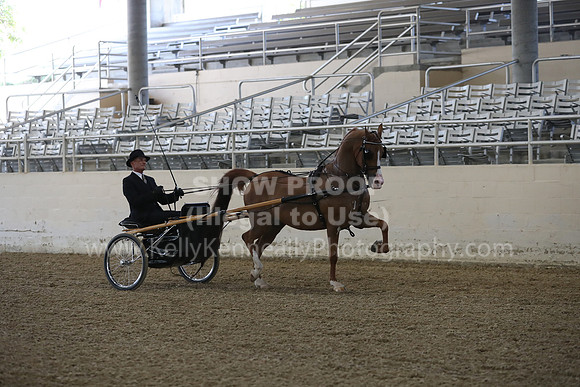 RCAHA19_FriPM_1253