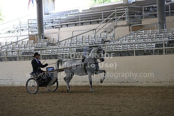 RCAHA19_FriPM_1254