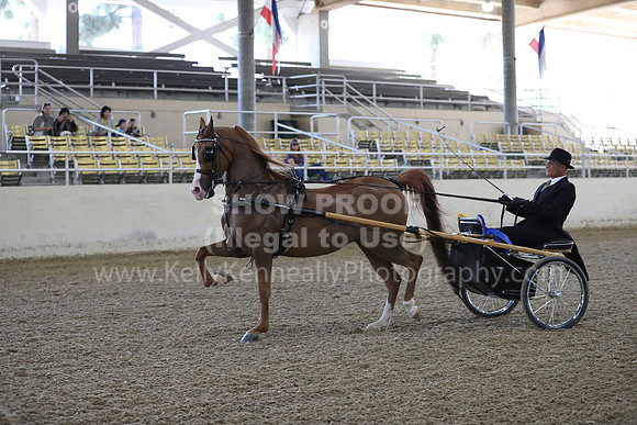 RCAHA19_FriPM_1261