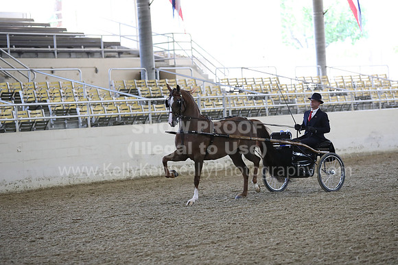 RCAHA19_FriPM_1264