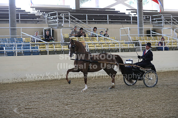 RCAHA19_FriPM_1266