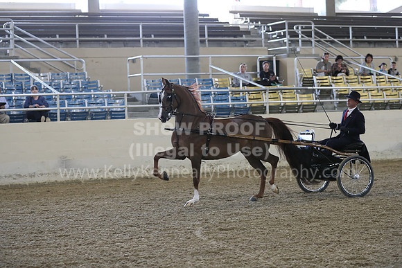 RCAHA19_FriPM_1267