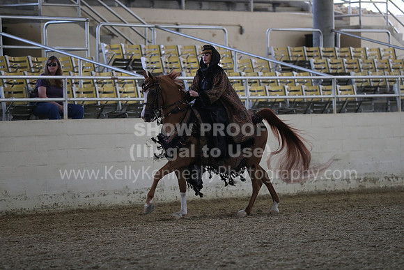 RCAHA19_FriPM_1275