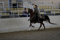 Class 86 Arabian Mounted Native Costume Open