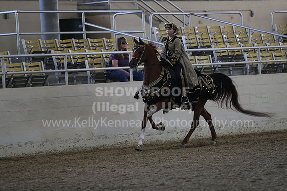 RCAHA19_FriPM_1273