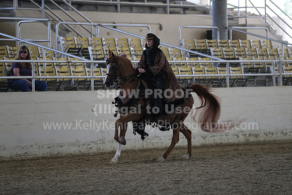 RCAHA19_FriPM_1274