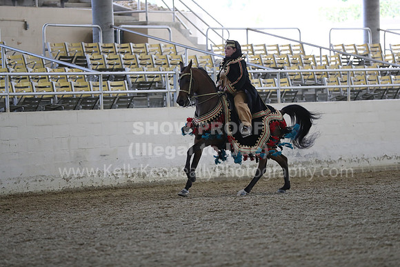 RCAHA19_FriPM_1282