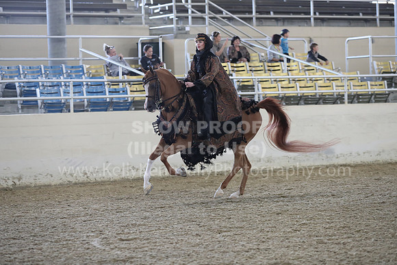 RCAHA19_FriPM_1291