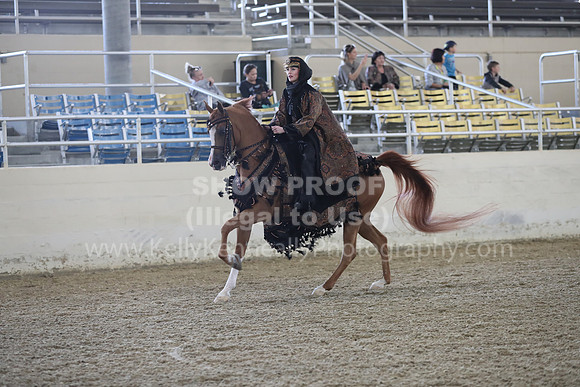 RCAHA19_FriPM_1292