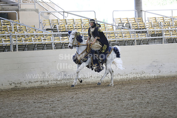RCAHA19_FriPM_1299