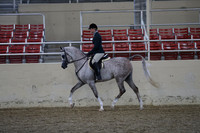 Class 87 Arabian Hunter Pleasure Junior Horse