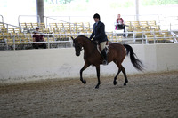 RCAHA19_FriPM_1409