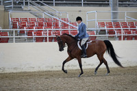RCAHA19_FriPM_1412