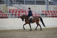RCAHA19_FriPM_1414