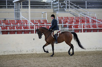 RCAHA19_FriPM_1415