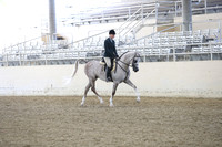 RCAHA19_FriPM_1417