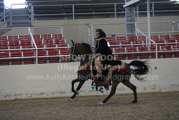 RCAHA19_FriPM_1311