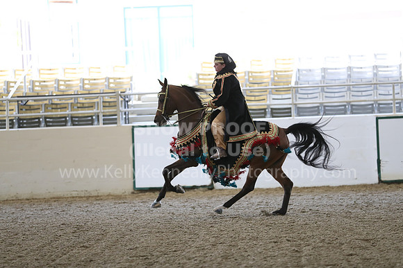 RCAHA19_FriPM_1313