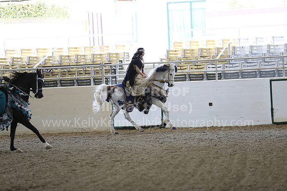 RCAHA19_FriPM_1322