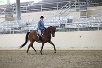 RCAHA19_FriPM_1421