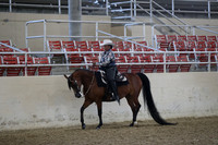RCAHA19_FriPM_1452