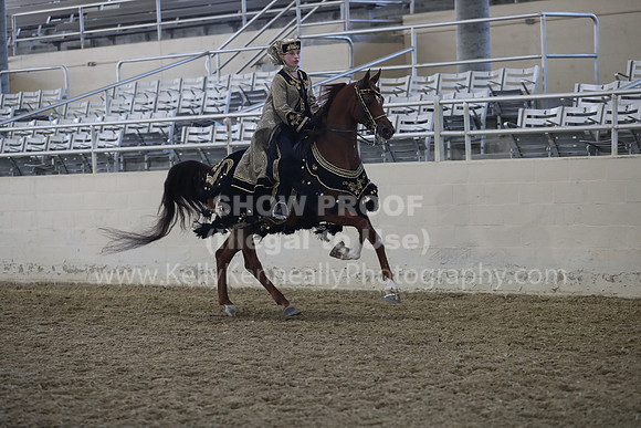 RCAHA19_FriPM_1328