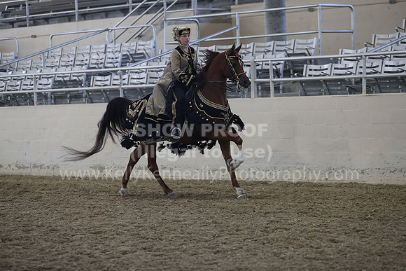 RCAHA19_FriPM_1329
