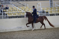 RCAHA19_FriPM_1482