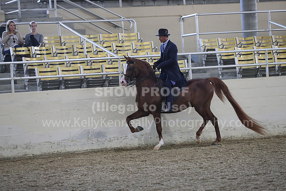 RCAHA19_FriPM_1482