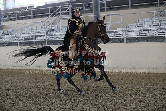 RCAHA19_FriPM_1331