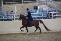 RCAHA19_FriPM_1485