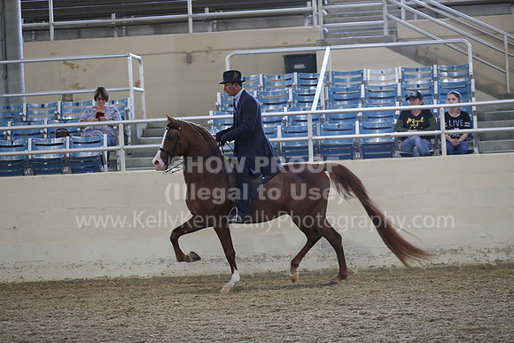 RCAHA19_FriPM_1485