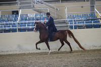 RCAHA19_FriPM_1484