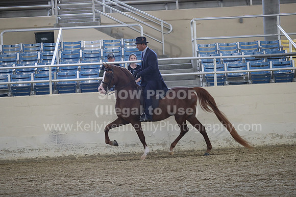 RCAHA19_FriPM_1484