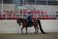 RCAHA19_FriPM_1455
