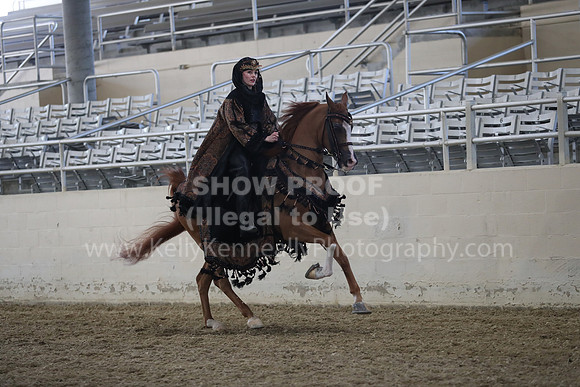 RCAHA19_FriPM_1337