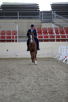RCAHA19_FriPM_1487