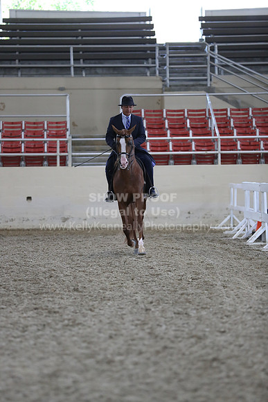 RCAHA19_FriPM_1487