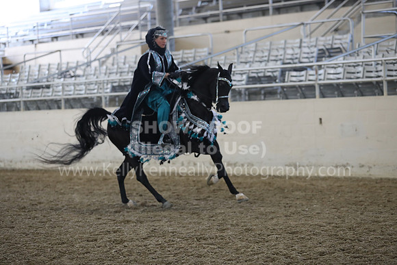 RCAHA19_FriPM_1339