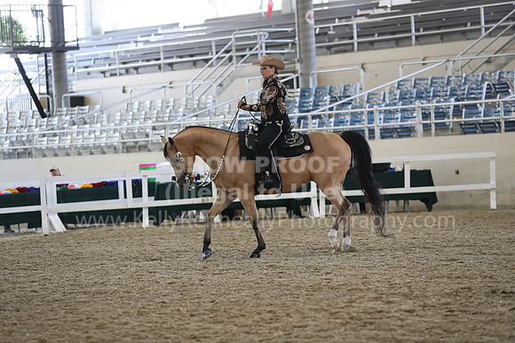 RCAHA19_FriPM_1461