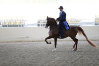 RCAHA19_FriPM_1494