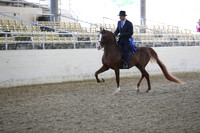 RCAHA19_FriPM_1496
