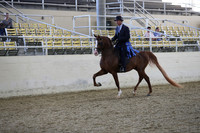 RCAHA19_FriPM_1497
