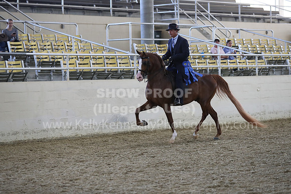 RCAHA19_FriPM_1497