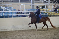 RCAHA19_FriPM_1499